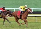 Sandal&#39;s Song wins the 2025 Royal Palm Juvenile Stakes at Gulfstream Park