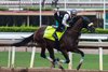 Baeza, Santa Anita Park, May 16 2025
Worked 4 furlongs in :53.60