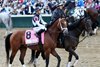 Journalism in the post parade for the the 2025 Kentucky Derby at Churchill Downs (finished 2nd) in Louisville, KY May 3, 2025