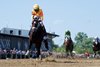 Crudo and John Velazquez Win Race 10, Sir Barton Stakes, Pimlico Racecourse, Baltimore, MD May 17, 2025, Mathea Kelley/Bloodhorse 
