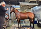 The Kentucky Derby Museum is in the final stretch of updating its iconic Winner&#39;s Circle exhibit to honor the unforgettable victory of Sovereignty in the 151st Kentucky Derby