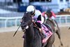 Jody&#39;s Pride wins the 2025 Ruffian Stakes at Aqueduct Racetrack