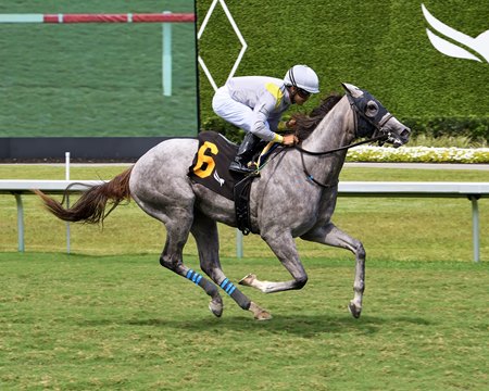 Lennilu wins the Royal Palm Juvenile Fillies Stakes at Gulfstream Park