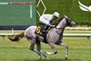 Lennilu wins the 2025 Royal Palm Juvenile Fillies Stakes at Gulfstream Park