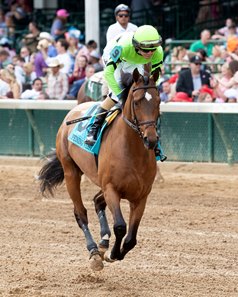 Opening Verse Stakes winner Brilliant Berti is scheduled to make his third stakes start of the Churchill Downs meeting