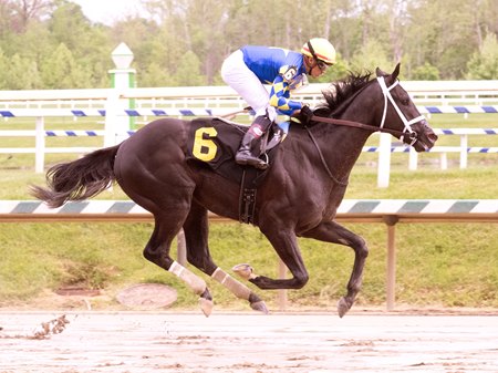 Lionel wins his debut at Laurel Park