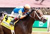FIERCENESS - The Alysheba G2 - 22nd Running - 05-02-25 - R06 - Churchill Downs