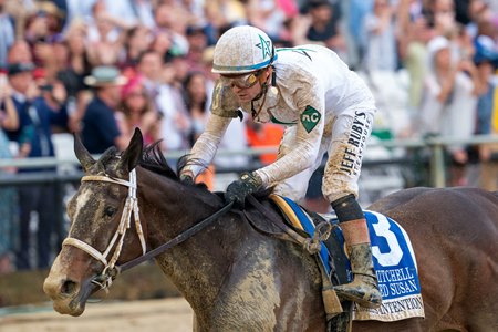 Margie's Intention wins the George E. Mitchell Black-Eyed Susan Stakes at Pimlico Race Course