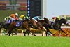 Panja Tower (11) wins scramble to the finish in the NHK Mile (G1) May 11 at Tokyo Racecourse.