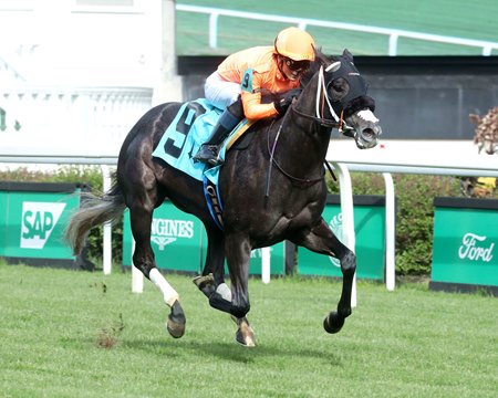 Shisospicy wins the Mamzelle Stakes at Churchill Downs
