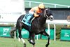 Shisospicy wins the 2025 Mamzelle Stakes at Churchill Downs