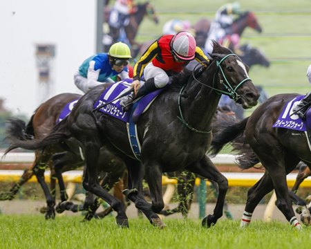 Ascoli Piceno wins the Victoria Mile at Tokyo Racecourse