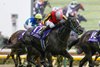 Ascoli Piceno wins the 2025 Victoria Mile