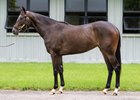 2025 Fasig-Tipton June Digital, Hip 92
Chasing Sunsets