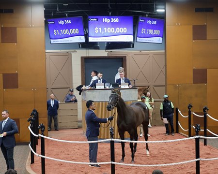 The Girvin filly consigned as Hip 368 in the ring at the F-T Midlantic Sale