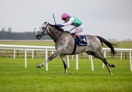 Field of Gold powers home in the Irish Two Thousand Guineas at the Curragh