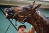 Journalism gets a bath at Pimlico Race Course Thursday May 15, 2025 in Baltimore, MD..   Photo by Skip Dickstein