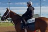Journalism at Churchill Downs ahead of a possible start in the Preakness Stakes.