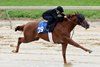 Hip 79, 2025 Fasig-Tipton 2-Year-Olds in Training Sale