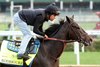 Rodriguez - Gallop - Churchill Downs - 050125