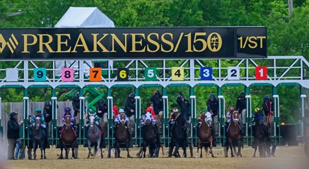 The 2025 Preakness Stakes at Pimlico Race Course