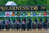 Journalism with Umberto Rispoli wins the Preakness Stakes (G1) at Pimlico Race Course in Baltimore, Md., on May 17, 2025. Trained by Michael McCarthy and owned by Eclipse Thoroughbred Partners, Bridlewood Farm, Don Alberto Stable, LaPenta, Robert V., Elayne Stables 5, Magnier, Mrs. John, Tabor, Michael B. and Smith, Derrick