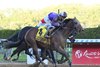 Hill Road wins the 2025 Peter Pan Stakes at Aqueduct Racetrack