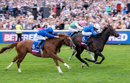 Shadow of Light (chestnut, white blaze) finishes third behind Ruling Court in the Two Thousand Guineas at Newmarket Racecourse