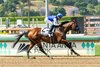 Baoma Corp.’s Nysos and jockey Juan Hernandez win the Grade III $100,000 Triple Bend Stakes Saturday, May 31, 2025 at Santa Anita Park, Arcadia, CA.  
Benoit Photo.