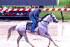 Sandman, Pimlico Race Course, May 14 2025