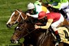 Caption: Soaring Free (#4) wins the Shakertown with Mighty Beau in second.
Bandini with John Velazquez up wins the Bluegrass Stakes (gr. I) at Keeneland on April 16, 2005, in Lexington, Ky.
Soaring Free with Jerry Bailey up wins the Shakertown (gr. III).
Clockstopper with Jerry Bailey up wins the Commonwealth Breeders&#39; Cup (gr. II).
BluegrassDayOrigs1 image12
Photo by Anne M. Eberhardt