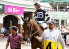 Drexel Hill and Ben Curtis in the paddock before the Kentucky Oaks (G1) at Churchill Downs in Louisville, KY on May 2, 2025.