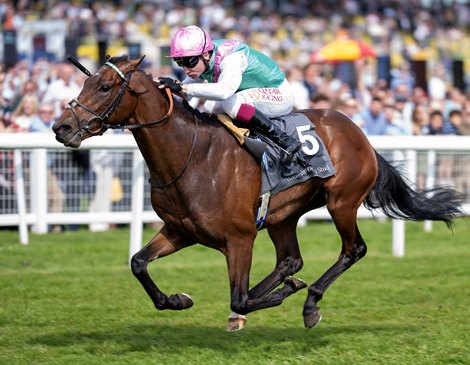 Group Winner Jonquil Headlines Tattersalls HIT Sale