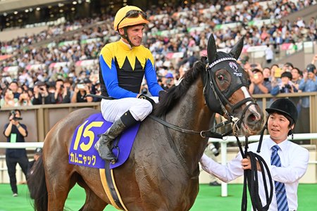 Kamunyak after her victory in the Yushun Himba at Tokyo Race Course