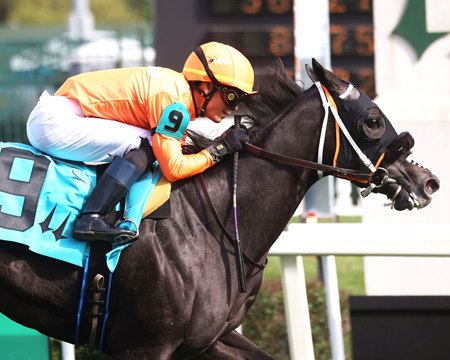 Shisospicy wins the Mamzelle Stakes at Churchill Downs