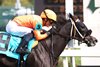 Shisospicy wins the 2025 Mamzelle Stakes at Churchill Downs