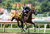 MyRacehorse and Leidel’s Seismic Beauty and jockey Antonio Fresu beat stablemate Splendora (Juan Hernandez up) to win the Grade II $200,000 Santa Margarita Stakes Sunday, May 25, 2025 at Santa Anita Park, Arcadia, CA.  The one-two finishers are both trained by Hall of Famer Bob Baffert.
Benoit Photo.