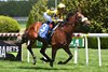 Far Bridge wins the 2025 Man o&#39; War Stakes at Aqueduct Racetrack