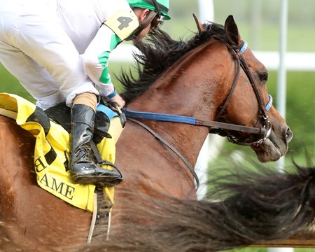 Kentucky Derby winner Mystik Dan will look for another grade 1 win Saturday at Churchill Downs