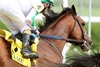 Mystik Dan wins the 2025 Blame Stakes at Churchill Downs