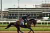 Goal Oriented, Churchill Downs, May 9 2025