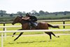2025 Tattersalls Ireland Breeze Up Sale, Lot 222
colt; (Too Darn Hot - Tebee)