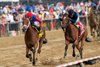 Awesome Arron and John Velazquez Win Race 12, The G3 Pimlico Special Stakes, Pimlico Racecourse, Baltimore, MD May 16, 2025, Mathea Kelley/Bloodhorse