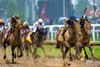 Sovereignty with Junior Alvarado wins the Kentucky Derby (G1) at Churchill Downs in Louisville, KY on May 3, 2025.