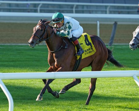 Love Cervere wins the Take The A Train Stakes at Aqueduct Racetrack