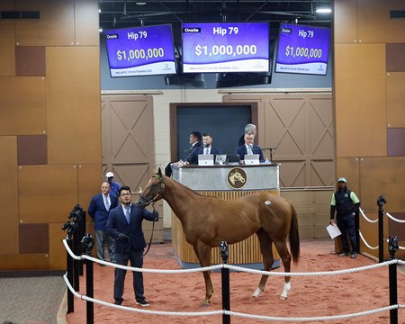 The Nyquist colt consigned as Hip 79 in the ring at the F-T Midlantic Sale