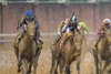 Sovereignty with Junior Alvarado wins the Kentucky Derby (G1 ) at Churchill Downs in Louisville, Ky., on May 3, 2025
