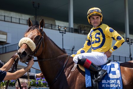 Far Bridge enters the Manhattan Stakes with four wins in his past five starts