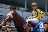 Far Bridge wins the 2025 Man o&#39; War Stakes at Aqueduct Racetrack
