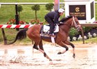 Journalism, Pimlico Race Course, May 14 2025